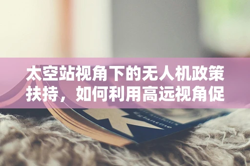 太空站视角下的无人机政策扶持，如何利用高远视角促进技术创新？