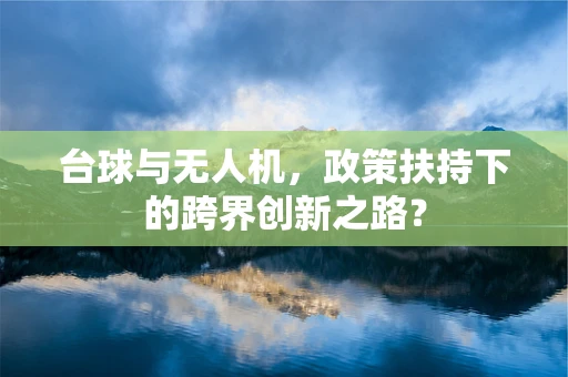 台球与无人机，政策扶持下的跨界创新之路？