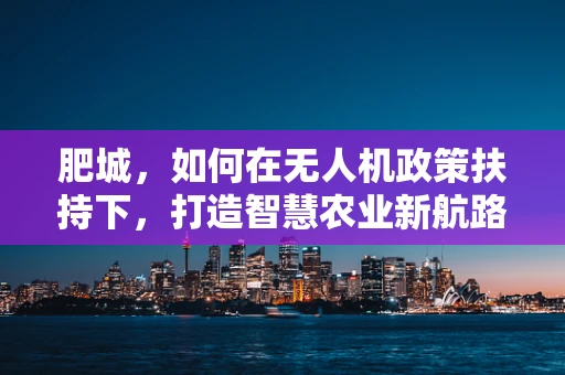 肥城，如何在无人机政策扶持下，打造智慧农业新航路？