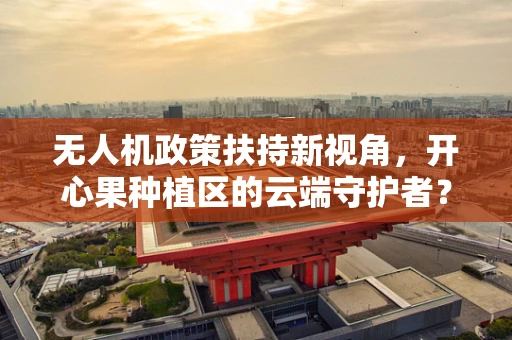 无人机政策扶持新视角，开心果种植区的云端守护者？