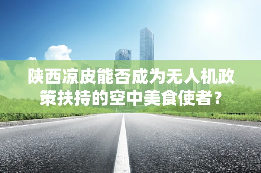 陕西凉皮能否成为无人机政策扶持的空中美食使者？