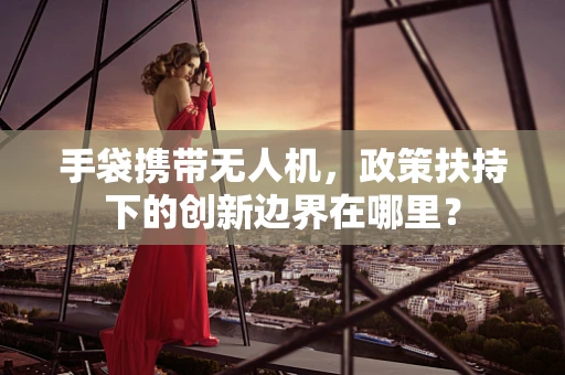 手袋携带无人机，政策扶持下的创新边界在哪里？