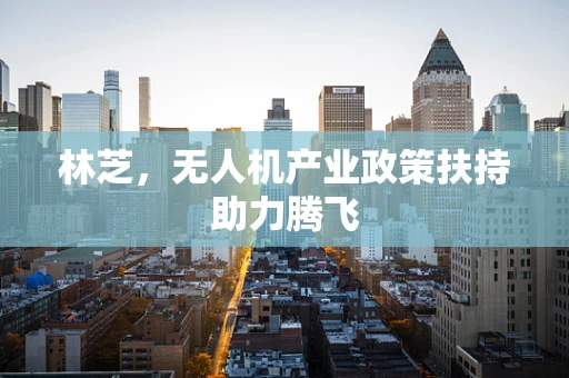 林芝，无人机产业政策扶持助力腾飞