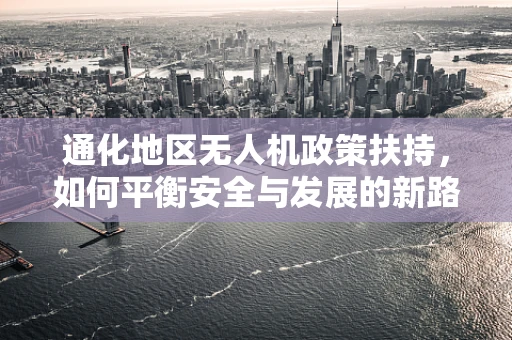 通化地区无人机政策扶持，如何平衡安全与发展的新路径？