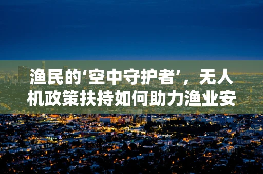渔民的‘空中守护者’，无人机政策扶持如何助力渔业安全与高效？