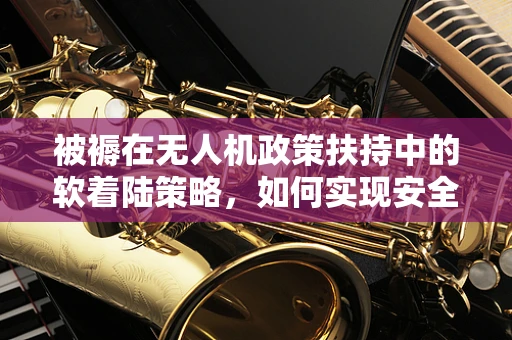 被褥在无人机政策扶持中的软着陆策略，如何实现安全与便利的双重保障？