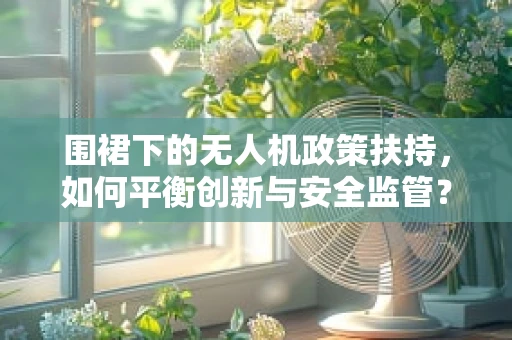 围裙下的无人机政策扶持，如何平衡创新与安全监管？