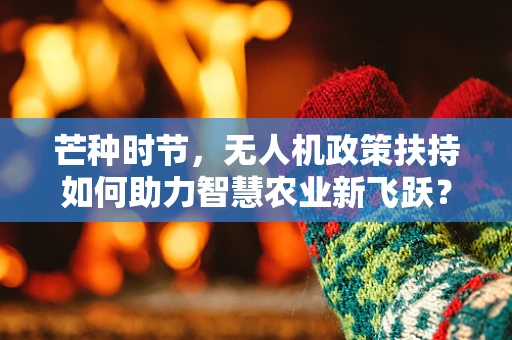 芒种时节，无人机政策扶持如何助力智慧农业新飞跃？