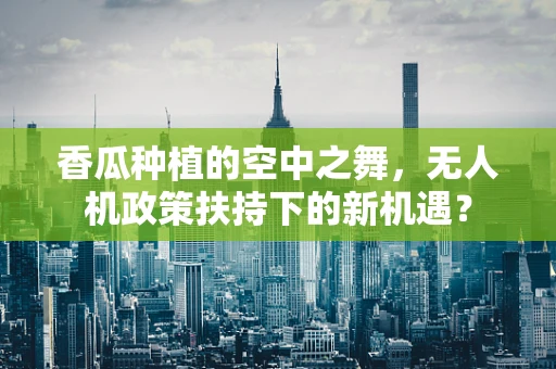 香瓜种植的空中之舞，无人机政策扶持下的新机遇？