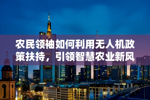 农民领袖如何利用无人机政策扶持，引领智慧农业新风尚？