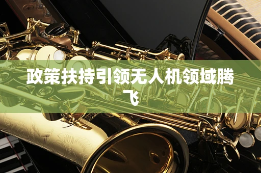 政策扶持引领无人机领域腾飞