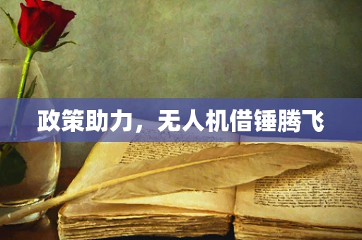 政策助力，无人机借锤腾飞