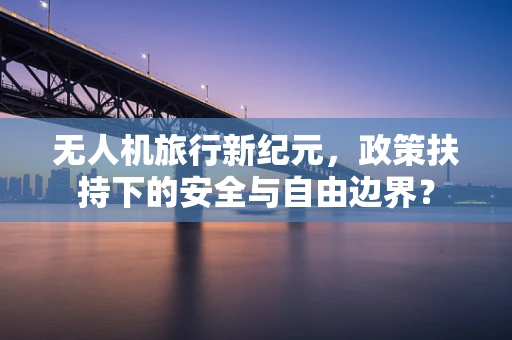 无人机旅行新纪元，政策扶持下的安全与自由边界？