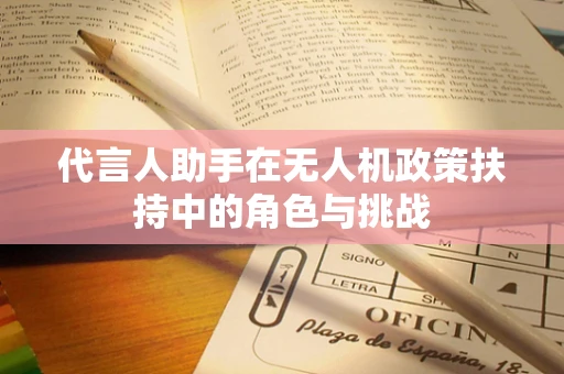 代言人助手在无人机政策扶持中的角色与挑战