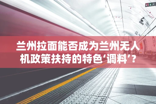 兰州拉面能否成为兰州无人机政策扶持的特色‘调料’？