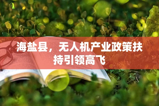海盐县，无人机产业政策扶持引领高飞