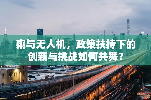 粥与无人机，政策扶持下的创新与挑战如何共舞？