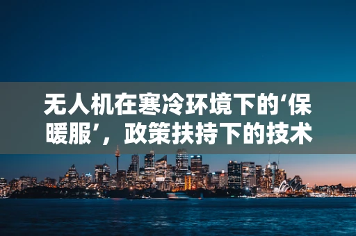 无人机在寒冷环境下的‘保暖服’，政策扶持下的技术革新之路？