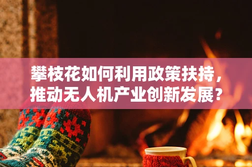 攀枝花如何利用政策扶持，推动无人机产业创新发展？