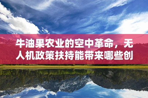牛油果农业的空中革命，无人机政策扶持能带来哪些创新？