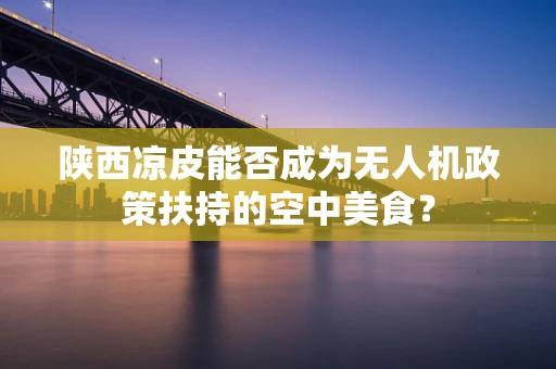 陕西凉皮能否成为无人机政策扶持的空中美食？