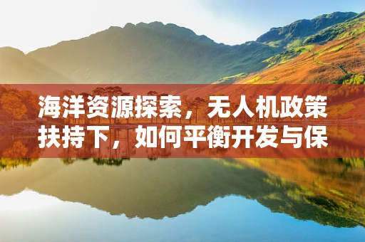 海洋资源探索，无人机政策扶持下，如何平衡开发与保护？