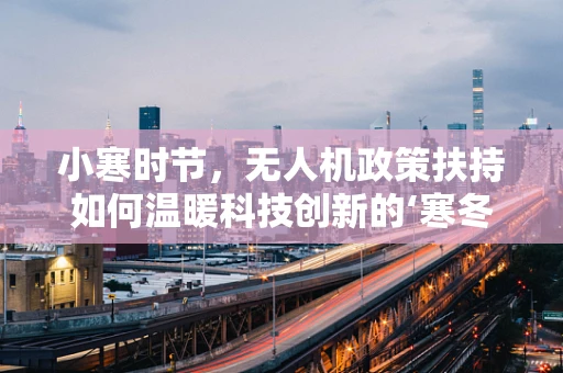 小寒时节，无人机政策扶持如何温暖科技创新的‘寒冬’？