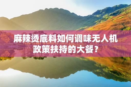 麻辣烫底料如何调味无人机政策扶持的大餐？