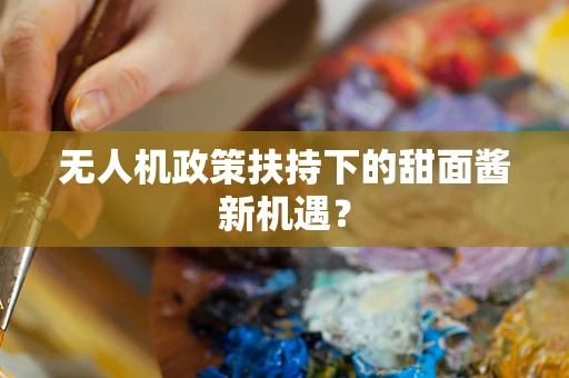 无人机政策扶持下的甜面酱新机遇？