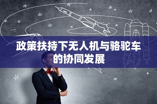 政策扶持下无人机与骆驼车的协同发展
