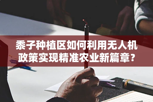 黍子种植区如何利用无人机政策实现精准农业新篇章？