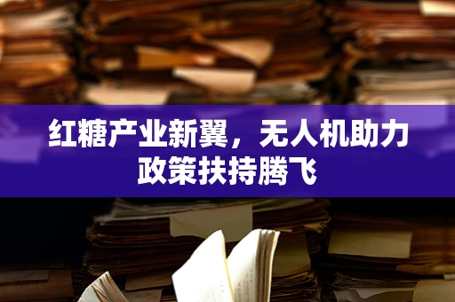 红糖产业新翼，无人机助力政策扶持腾飞