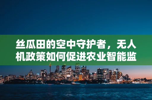 丝瓜田的空中守护者，无人机政策如何促进农业智能监测？