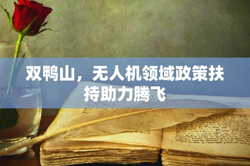 双鸭山，无人机领域政策扶持助力腾飞