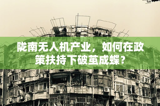陇南无人机产业，如何在政策扶持下破茧成蝶？