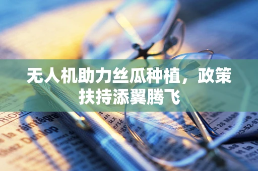 无人机助力丝瓜种植，政策扶持添翼腾飞