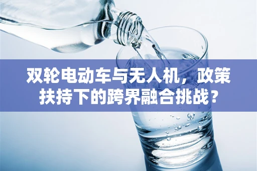 双轮电动车与无人机，政策扶持下的跨界融合挑战？