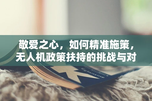 敬爱之心，如何精准施策，无人机政策扶持的挑战与对策