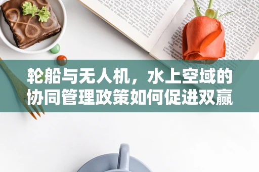 轮船与无人机，水上空域的协同管理政策如何促进双赢？