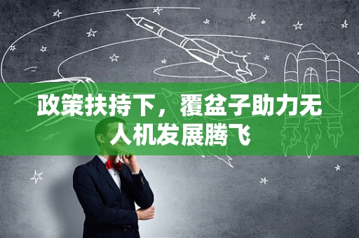 政策扶持下，覆盆子助力无人机发展腾飞