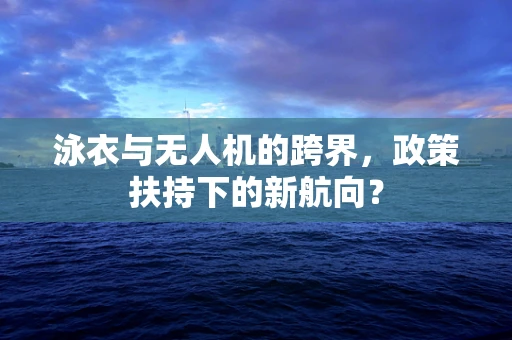 泳衣与无人机的跨界，政策扶持下的新航向？