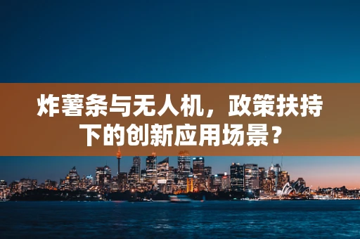 炸薯条与无人机，政策扶持下的创新应用场景？