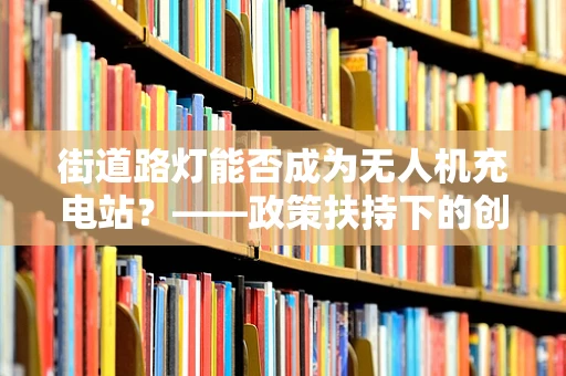 街道路灯能否成为无人机充电站？——政策扶持下的创新应用探索