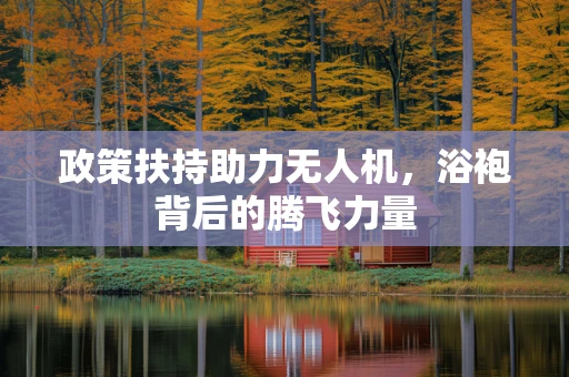 政策扶持助力无人机，浴袍背后的腾飞力量