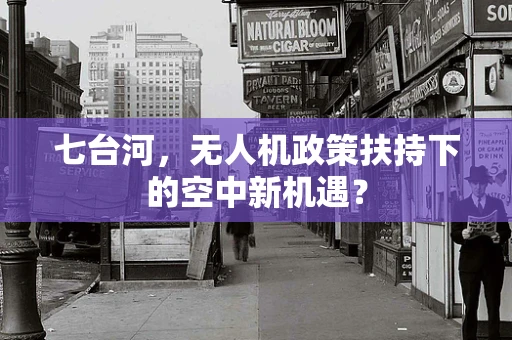 七台河，无人机政策扶持下的空中新机遇？