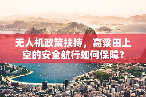 无人机政策扶持，高粱田上空的安全航行如何保障？