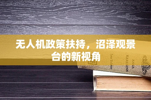 无人机政策扶持，沼泽观景台的新视角