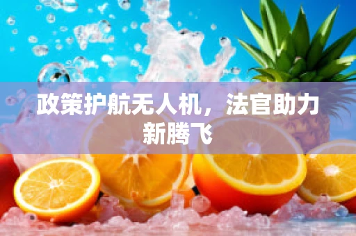 政策护航无人机，法官助力新腾飞