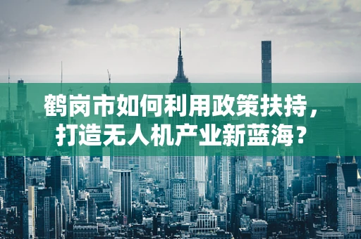 鹤岗市如何利用政策扶持，打造无人机产业新蓝海？