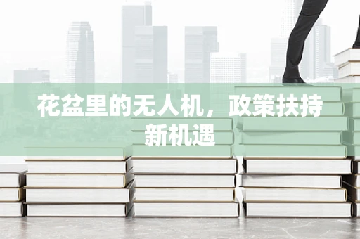 花盆里的无人机，政策扶持新机遇